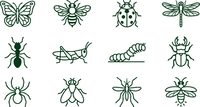 Set of insect icons featuring butterflies bees ladybugs dragonflies ants and spiders.