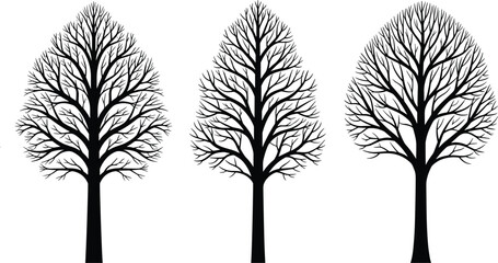 Obraz premium Tree silhouette illustrations with branching trunk and leaf designs, decorative artwork vector element for outdoor, nature, and environmental design