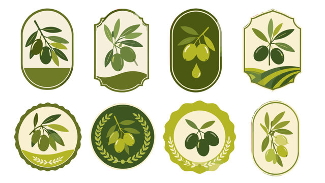 Set of green olive labels and badges in vintage vector style