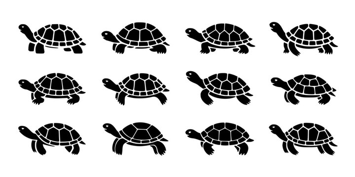 Turtles in Various Poses and Styles, Black and White Silhouettes Featuring Turtle, Animal, Wildlife with Silhouette and Vector Elements