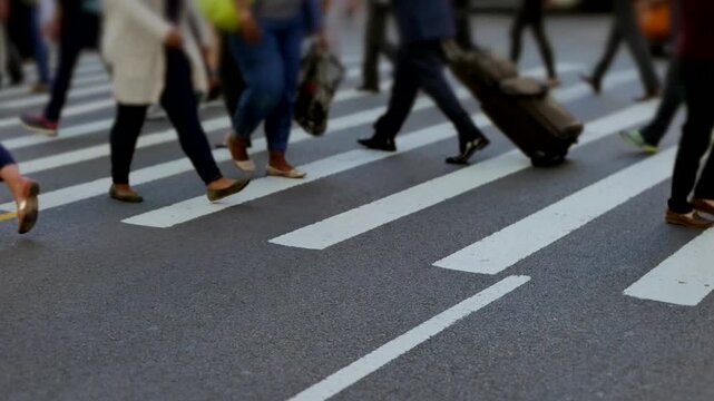 people walking in the city
