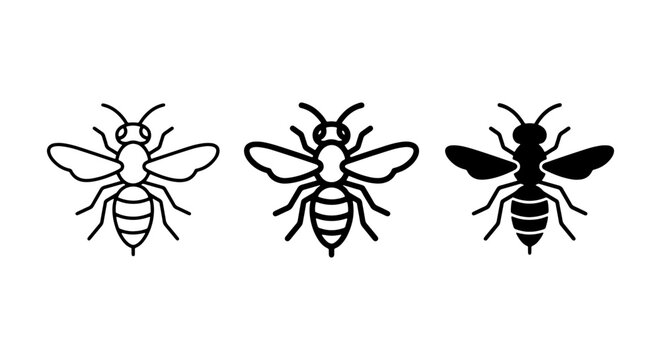Three stylized bee icons, vector illustrations of insects, simple line art and silhouette designs, nature and wildlife graphics