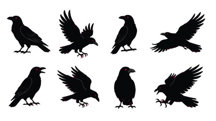 Obraz premium Black crow silhouettes in various poses and flight positions