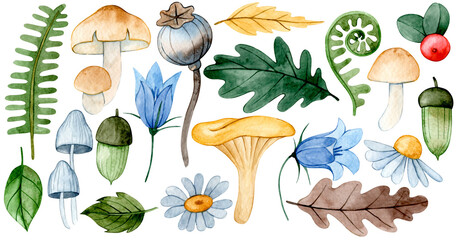 set of autumn watercolor elements. mushrooms, flowers and leaves. © Tatiana