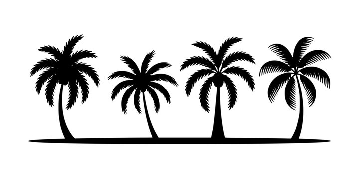 Palms Silhouette Set with Varying Fronds on a White Background, Decorative Tropical Beach Design for Travel and Summer Graphics