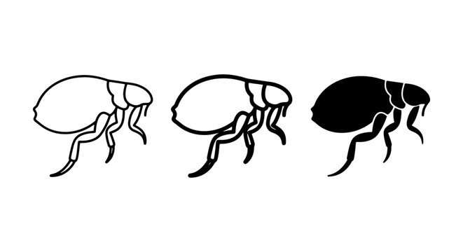Flea Icons Set, Vector Illustrations of Parasites, Simple Insect Graphics for Pest Control and Biology