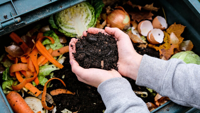 Person holds compost in hands above food scraps in compost bin in a garden on a sunny day