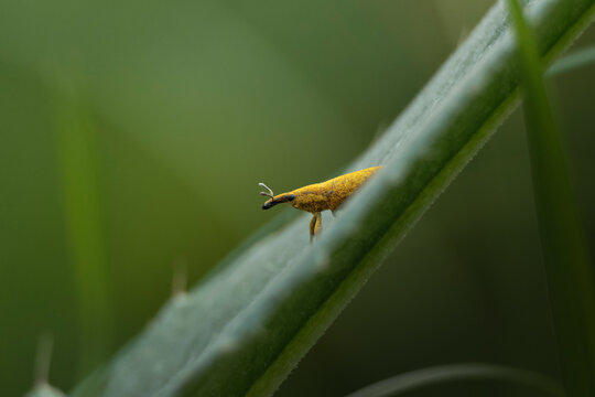 nature photography 