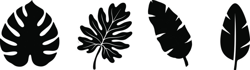 Tropical Leaf Silhouette Collection Featuring Monstera Philodendron Banana and Exotic Botanical Foliage Vector SetTropical Leaf Silhouette Collection Featuring Monstera Philodendron  © Md