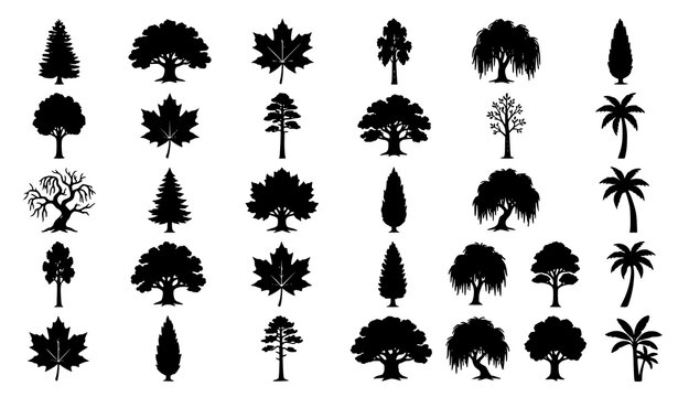Collection of forest trees silhouettes with different branch patterns vector illustration