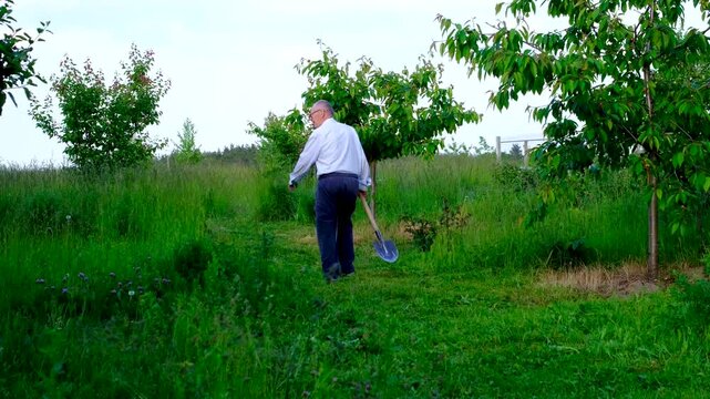 Moving steadily across the yard with a shovel in hand he heads to the garden to continue daily tasks. The scene reflects dedication physical activity traditional rural living and active aging.