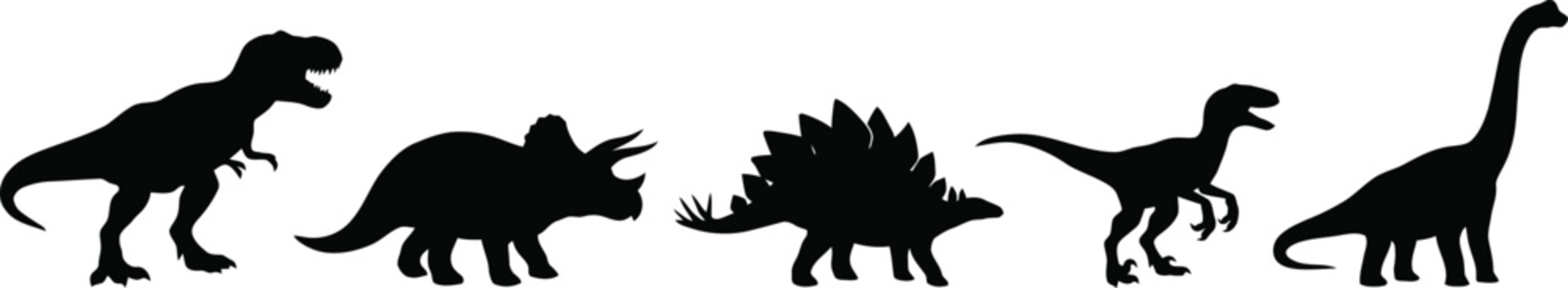 Black silhouettes of five distinct dinosaur species, including tyrannosaurus rex, on white