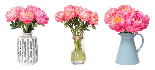 Obraz premium Vibrant peonies in stylish vases element set isolated on white