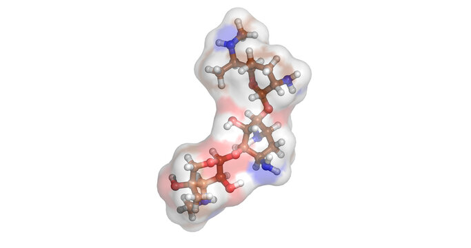 Gentamicin, potent aminoglycoside antibiotic drug molecule for severe systemic bacterial infections, 3D molecule 4K