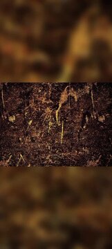 Y18 Vol.3A - Rust Grunge Texture Loop