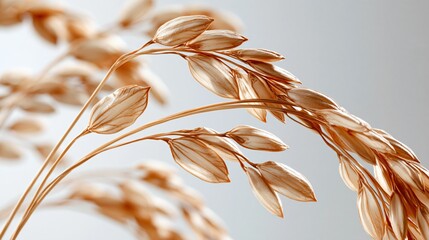 Obraz premium Golden ripe oat stalks close up with soft bokeh background symbolizing harvest and agriculture