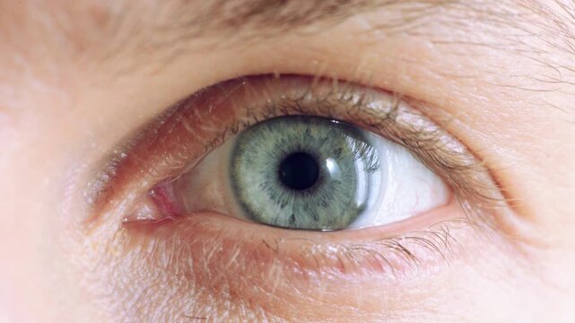 Blink, vision and face with sight and eye for retina health, optometry and lens prescription test. Ophthalmology, iris and perception with closeup of of person for cornea, focus and ocular screening