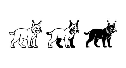 Lynx Vector Icons, Wild Cat Illustrations, Feline Animal Graphics, Black and White Line Art, Silhouette Set © Kawser