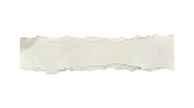 torn cardboard isolated on white