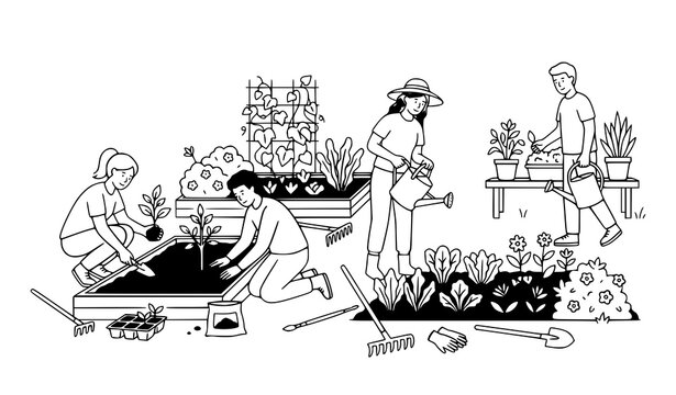 People gardening planting flowers and eco backyard hobby line art vector