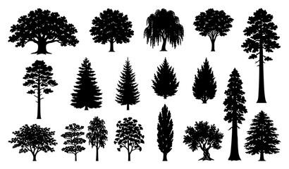 Fototapeta premium Large set of detailed forest tree black silhouettes vector illustration