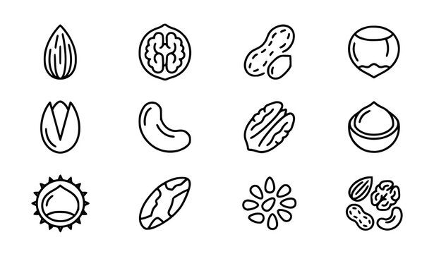 Healthy nuts and seeds minimal line art icons set vector