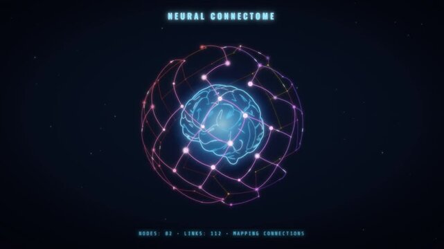 Neural connectome brain animation with rotating sphere of connected nodes and network links