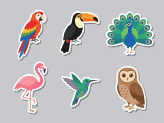 Fototapeta premium Cute cartoon tropical wild bird stickers vector set, exotic colorful feathered animals icon pack, parrot, toucan, peacock and flamingo
