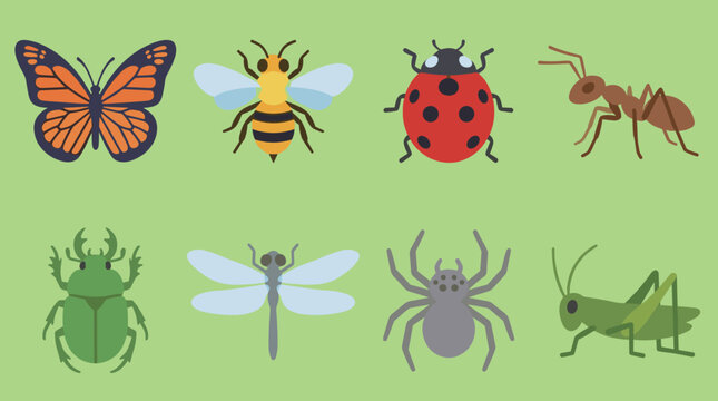 Cute insects and bugs flat vector illustrations set including butterfly bee ladybug ant beetle dragonfly spider and grasshopper
