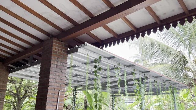 Traditional Wooden Roof Structure with Exposed Red Brick Pillar Architecture