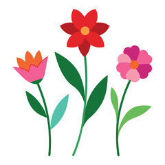 Obraz premium Beautiful-gladiolus-flowers-of-different-colors 
