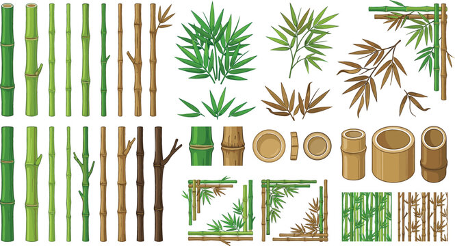 Large set of green and brown bamboo stalks leaves branches borders and frames isolated on white background vector illustration
