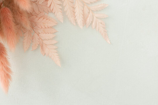 Minimalist Scandinavian and Boho style front view composition with a pink fern branch and lagurus grass on a textured background, copy space.