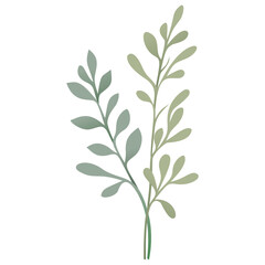 Fototapeta premium Soft Color Botanical Plant Flat Illustration for Home Decor and Nature Design