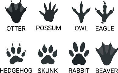 Animal Footprints Silhouette Vector Set, Wildlife Track Icons Collection, Otter Possum Owl Eagle Hedgehog Skunk Rabbit Beaver Paw Print Symbols © ANAMUL