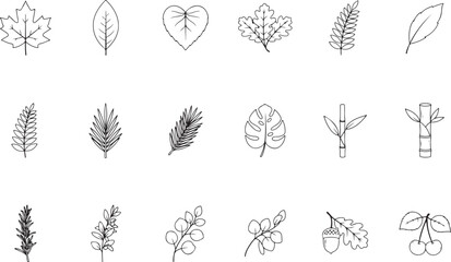 Collection of black and white line art botanical elements and fruits © MdMezbahul