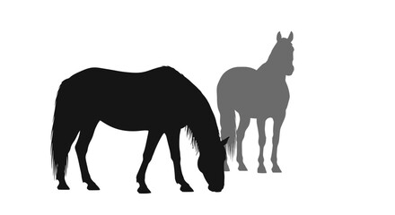 Fototapeta premium Horse silhouettes, black and gray horses on white background, animal icons