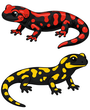 Set of  a yellow-and-black fire salamander (Salamandra salamandra) and a red-and-black fire salamander on a transparent background. Vector Illustration.