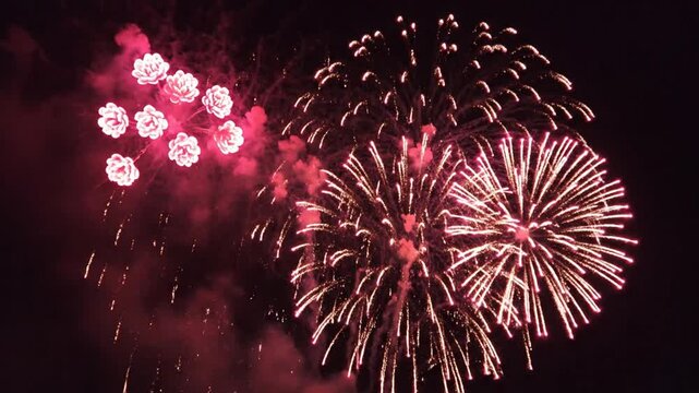 Vibrant pink fireworks exploding against a dark night sky with soft glowing smoke