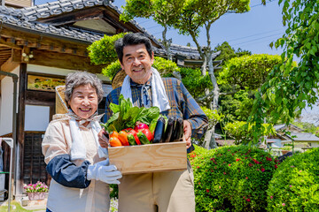 Obraz premium 収穫した新鮮な野菜を持つ日本人シニア農家夫婦