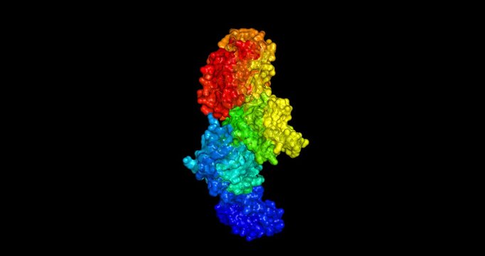 Lon protease from Yersinia pestis (the black death / Bubonic plague) 3D molecule spinning, 4K