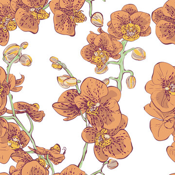 Orchid. Vector hand-drawn illustration. Lovely parasite flower. Exotic flower with aerial roots. Seamless pattern.
