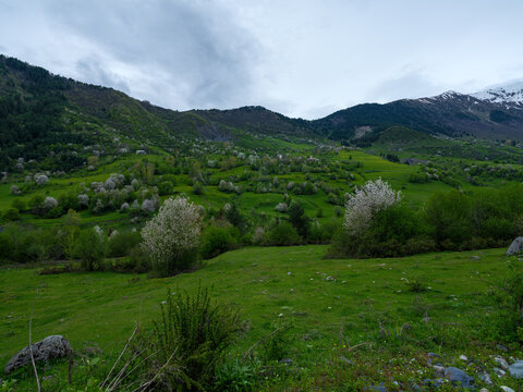 Svaneti historic village with medieval stone towers and blooming spring trees, Georgia.