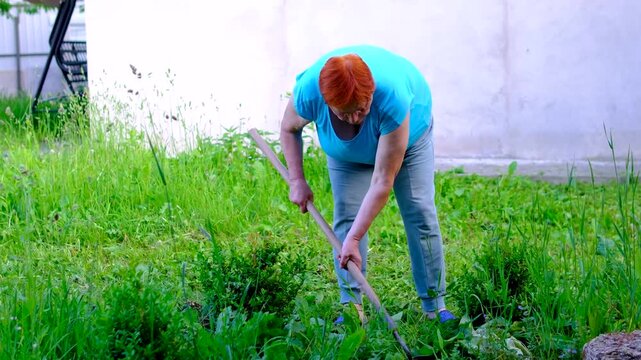 experienced gardener works carefully with a hoe removing weeds and loosening soil around flowers. The scene reflects traditional garden care active aging seasonal chores and rural lifestyle.