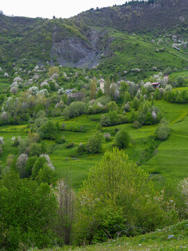 Svaneti historic village with medieval stone towers and blooming spring trees, Georgia.
