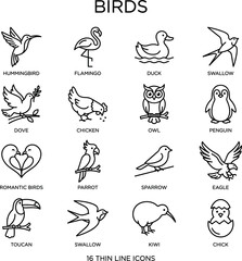 Obraz premium Birds Thin Line Icon Set with 16 Species Hummingbird Flamingo Owl Eagle Parrot Penguin Toucan and More Minimal Outline Vector Design