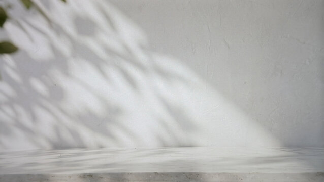 Soft shadows of leaves cast on a textured white wall, creating a serene and calming atmosphere that highlights the beauty of natural light.