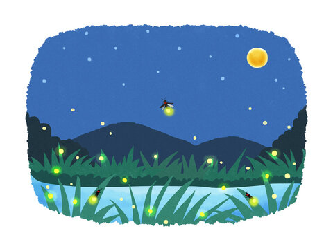 満月の夜にホタルが飛び交う田舎の風景　手描き水彩風イラスト