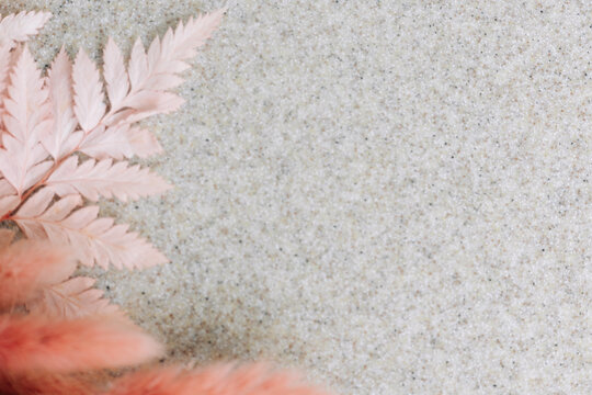 Minimalist Scandinavian and Boho style close-up view with a pink fern branch and lagurus grass on a grey sand textured background.