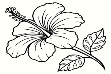 coloring page line art the yellow hibiscus flower black vector © MK